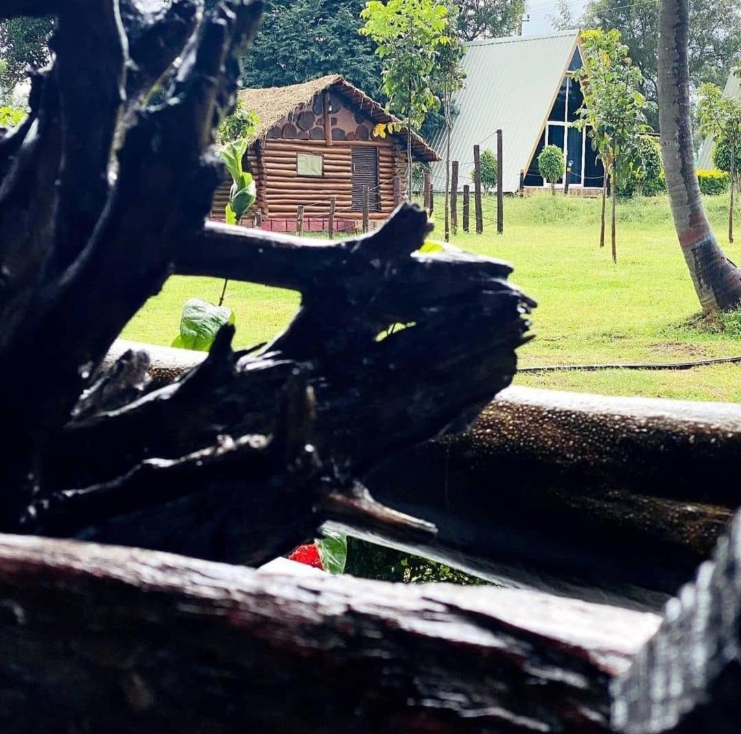 Dejavoo Hotel Gādigarpālya Bagian luar foto